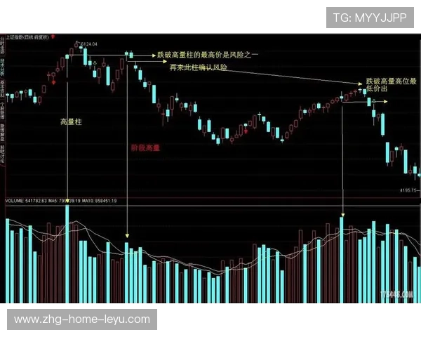 Chinese Taipei战术运用：精准发球与战术接发球