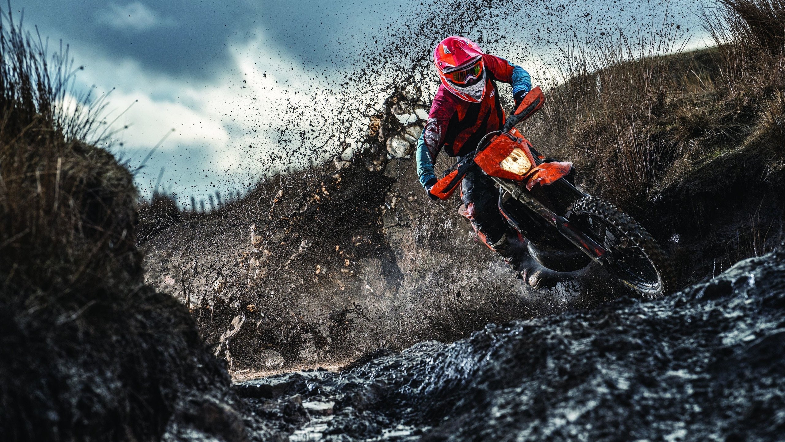 体育纪录片拍摄视角聚焦家庭支持力量,体育纪录片主题