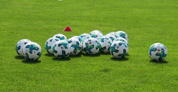 乐鱼体育登录入口-中国足球是否需要建立多语种教练课程，中国足球应该学哪国